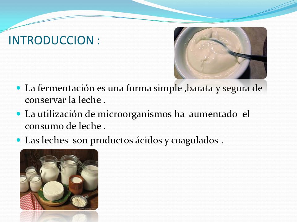INTRODUCCION : La fermentación es una forma simple ,barata y segura de conservar la leche .