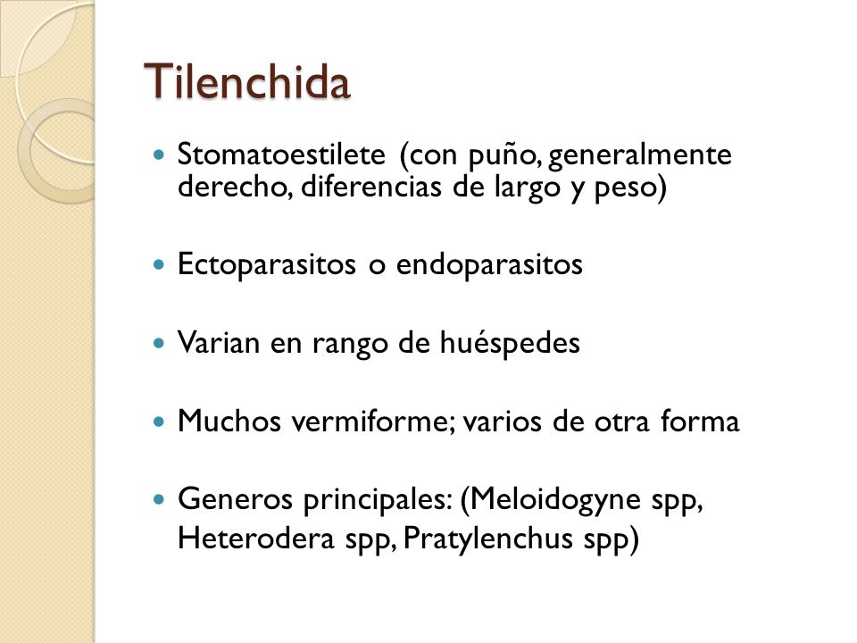 Tilenchida Stomatoestilete (con puño, generalmente derecho, diferencias de largo y peso) Ectoparasitos o endoparasitos.