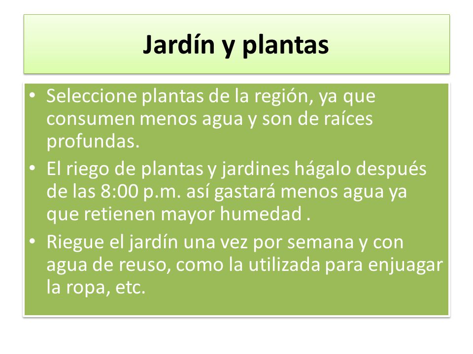 Jardín y plantas Seleccione plantas de la región, ya que consumen menos agua y son de raíces profundas.