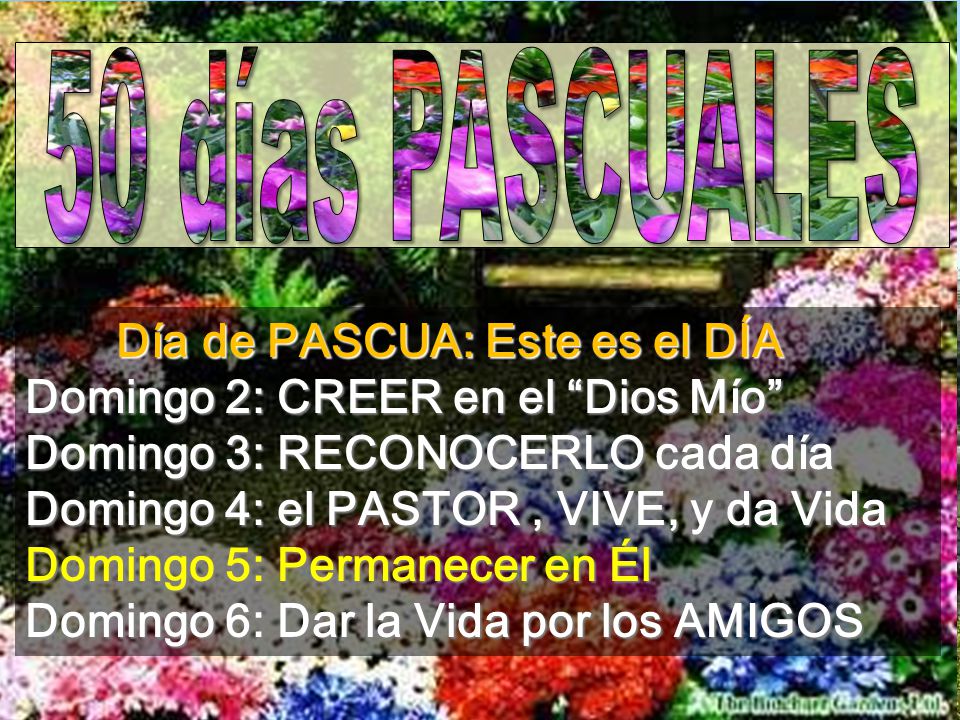 50 días PASCUALES Día de PASCUA: Este es el DÍA