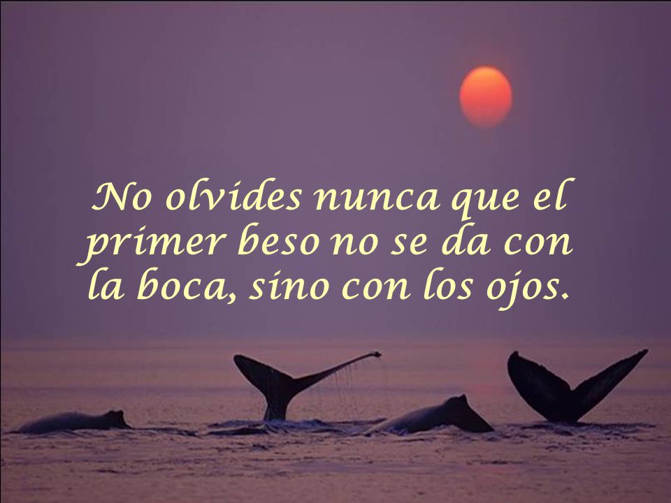 No olvides nunca que el primer beso no se da con la boca, sino con los ojos.