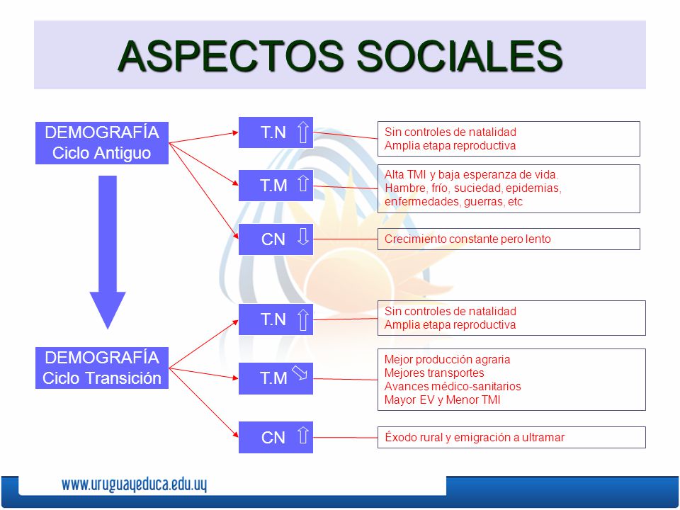 ASPECTOS SOCIALES T.N DEMOGRAFÍA Ciclo Antiguo T.M CN T.N DEMOGRAFÍA