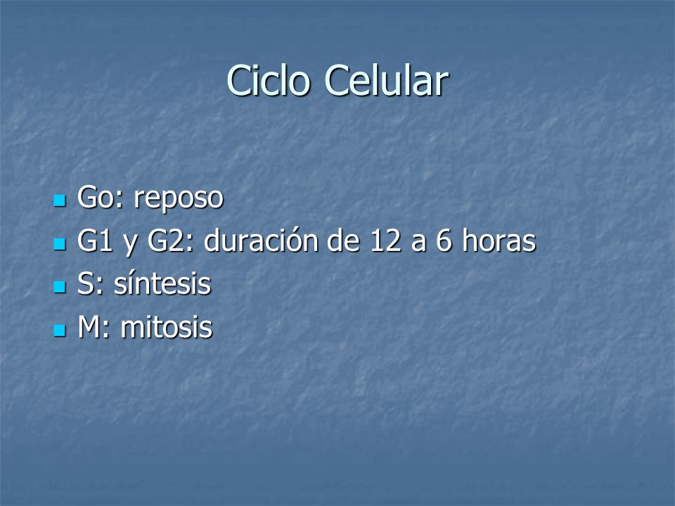 Ciclo Celular Go: reposo G1 y G2: duración de 12 a 6 horas S: síntesis