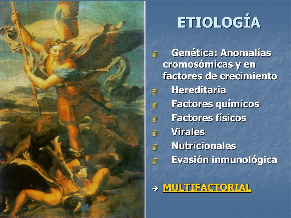 ETIOLOGÍA Genética: Anomalías cromosómicas y en factores de crecimiento. Hereditaria. Factores químicos.
