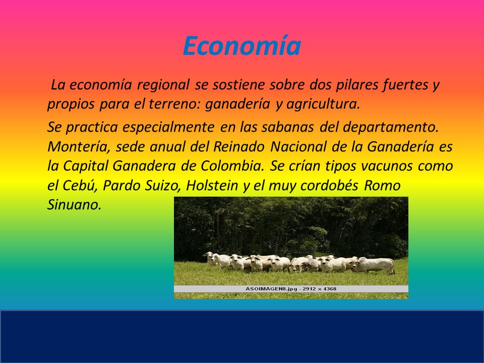 Economía La economía regional se sostiene sobre dos pilares fuertes y propios para el terreno: ganadería y agricultura.