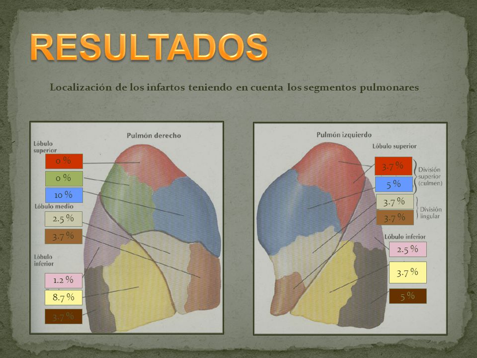 RESULTADOS Localización de los infartos teniendo en cuenta los segmentos pulmonares. 0 % 10 % 2.5 %