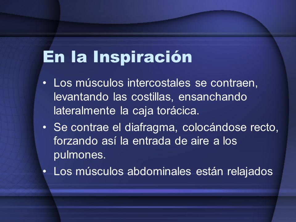 En la Inspiración Los músculos intercostales se contraen, levantando las costillas, ensanchando lateralmente la caja torácica.
