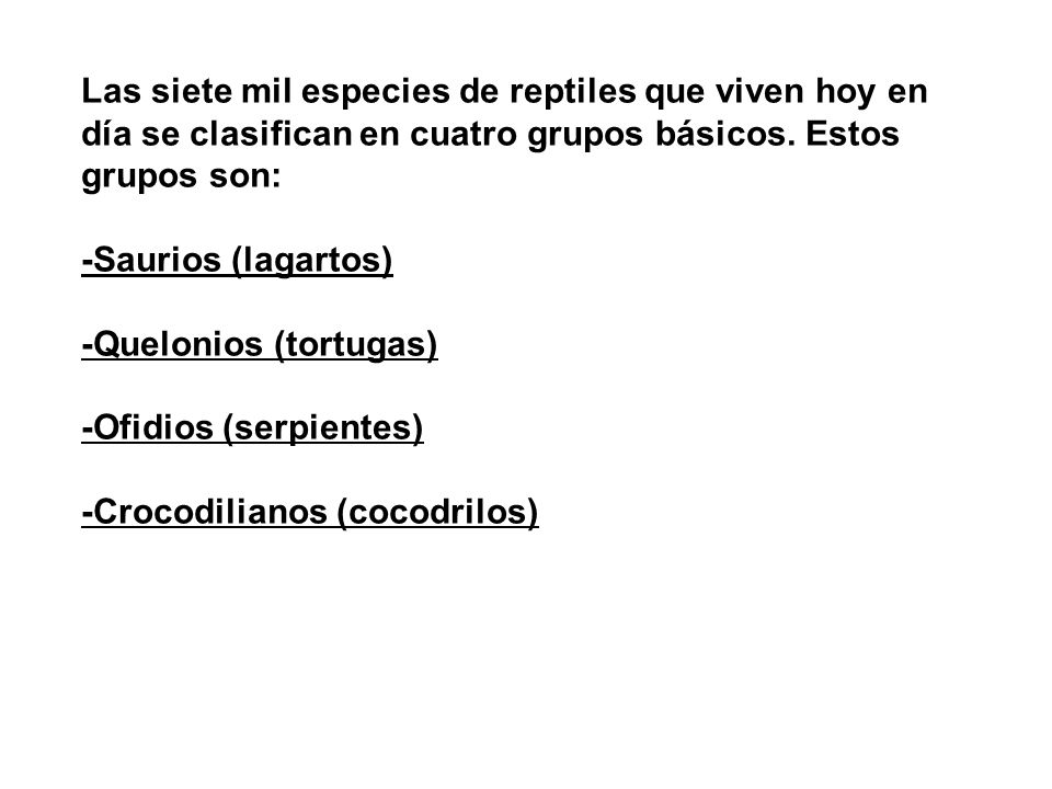 Las siete mil especies de reptiles que viven hoy en día se clasifican en cuatro grupos básicos. Estos grupos son: