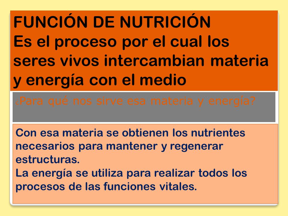 FUNCIÓN DE NUTRICIÓN Es el proceso por el cual los seres vivos intercambian materia y energía con el medio.
