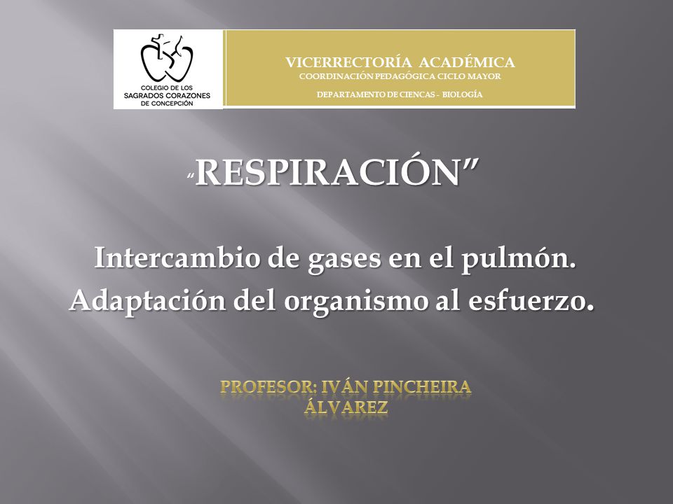 VICERRECTORÍA ACADÉMICA. COORDINACIÓN PEDAGÓGICA CICLO MAYOR. DEPARTAMENTO DE CIENCAS - BIOLOGÍA.