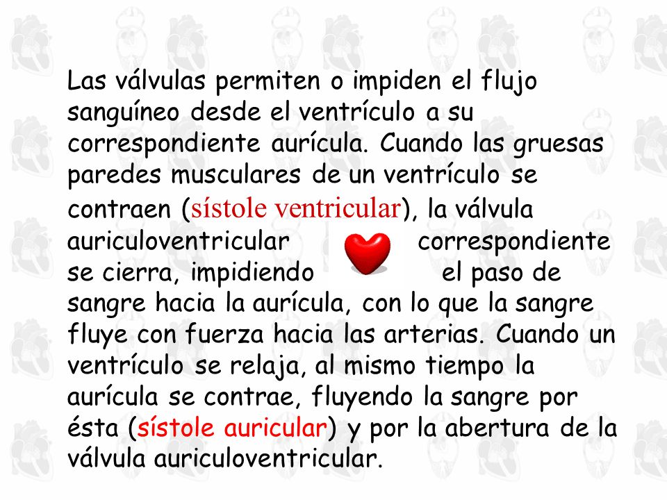 Las válvulas permiten o impiden el flujo sanguíneo desde el ventrículo a su correspondiente aurícula.