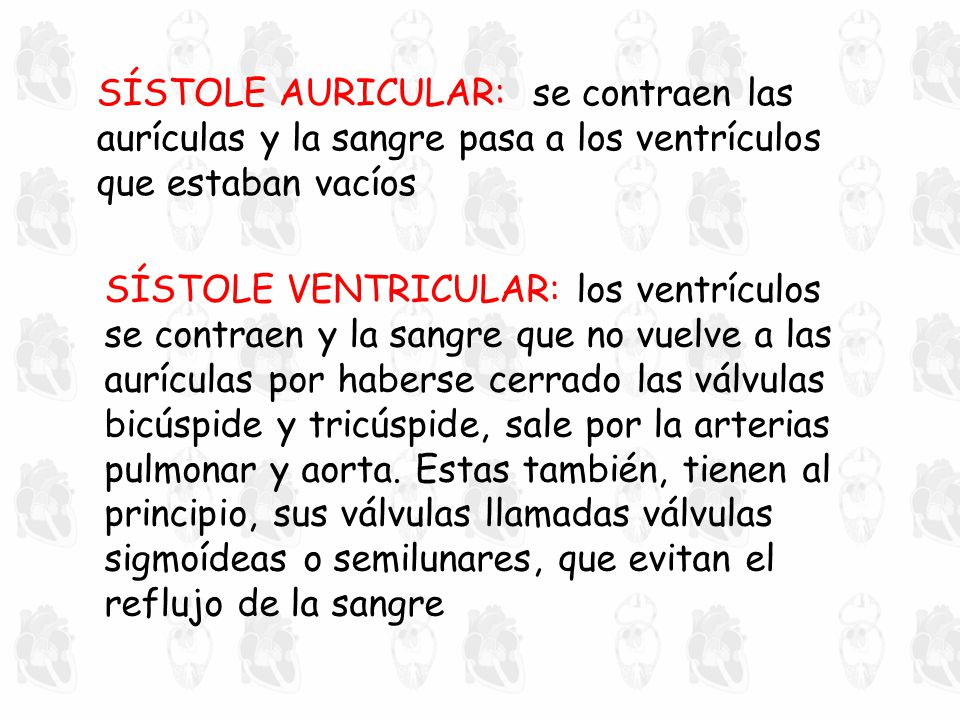 SÍSTOLE AURICULAR: se contraen las aurículas y la sangre pasa a los ventrículos que estaban vacíos