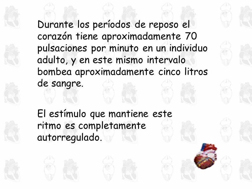 Durante los períodos de reposo el corazón tiene aproximadamente 70 pulsaciones por minuto en un individuo adulto, y en este mismo intervalo bombea aproximadamente cinco litros de sangre.