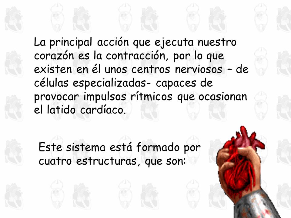 La principal acción que ejecuta nuestro corazón es la contracción, por lo que existen en él unos centros nerviosos – de células especializadas- capaces de provocar impulsos rítmicos que ocasionan el latido cardíaco.