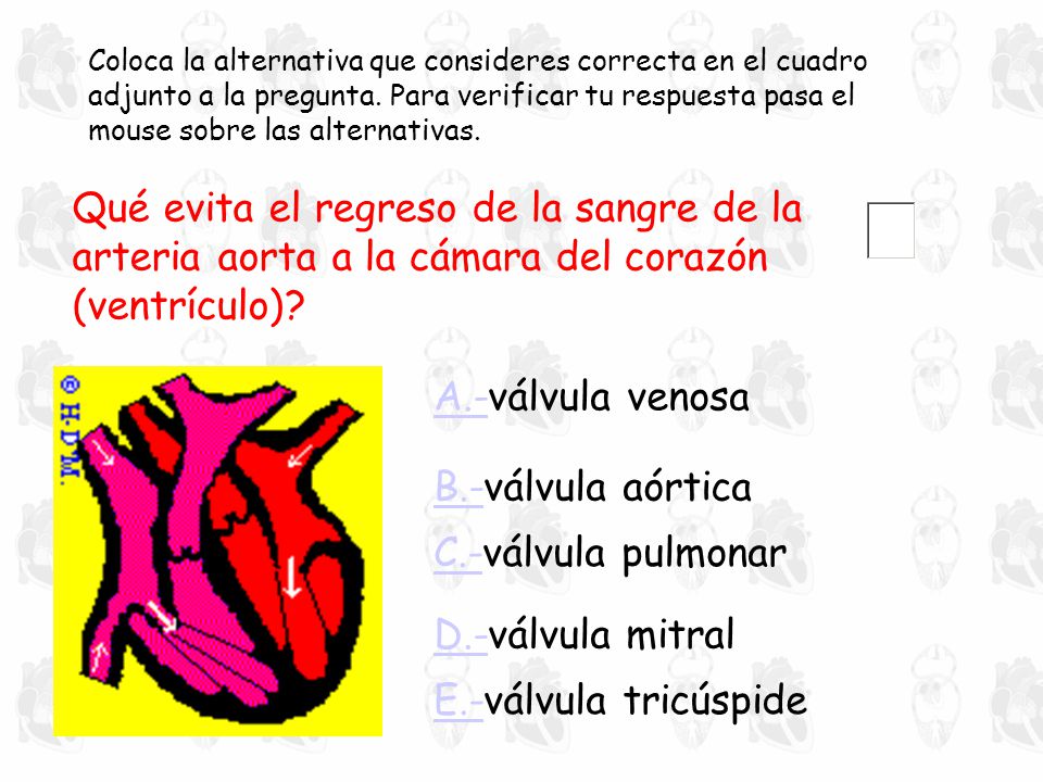 Coloca la alternativa que consideres correcta en el cuadro adjunto a la pregunta. Para verificar tu respuesta pasa el mouse sobre las alternativas.