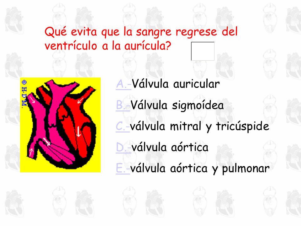 Qué evita que la sangre regrese del ventrículo a la aurícula