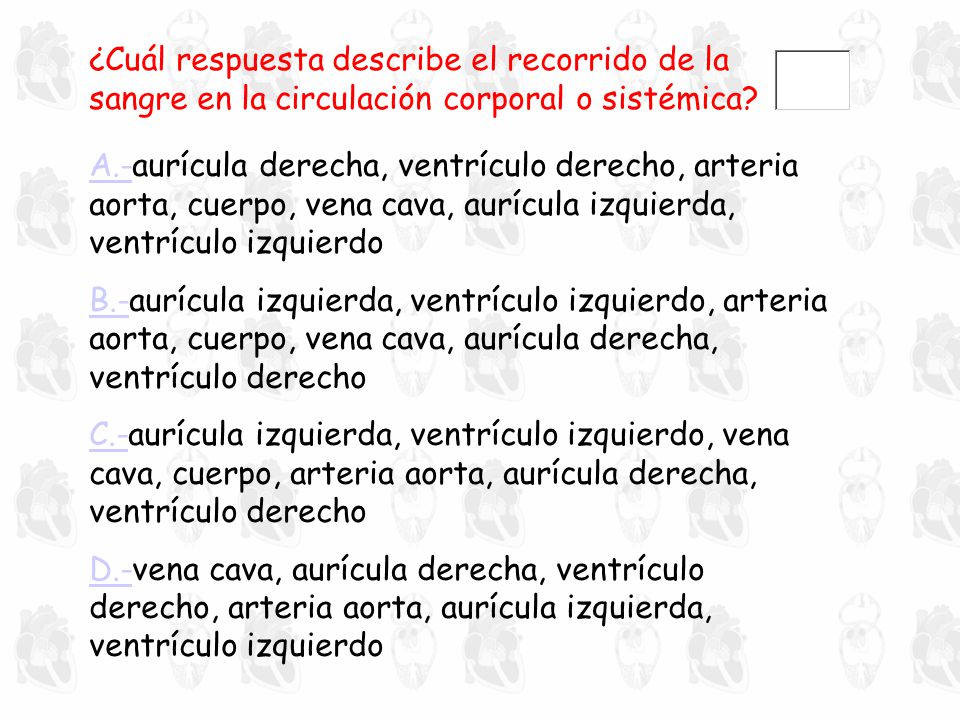 ¿Cuál respuesta describe el recorrido de la sangre en la circulación corporal o sistémica