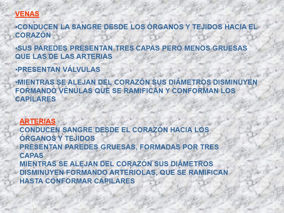 VENAS CONDUCEN LA SANGRE DESDE LOS ÓRGANOS Y TEJIDOS HACIA EL CORAZÓN. SUS PAREDES PRESENTAN TRES CAPAS PERO MENOS GRUESAS QUE LAS DE LAS ARTERIAS.