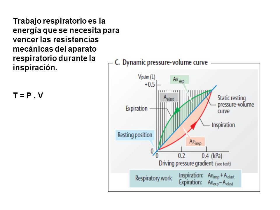 Trabajo respiratorio es la energía que se necesita para vencer las resistencias mecánicas del aparato respiratorio durante la inspiración.
