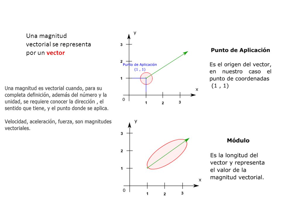 Una magnitud vectorial se representa por un vector