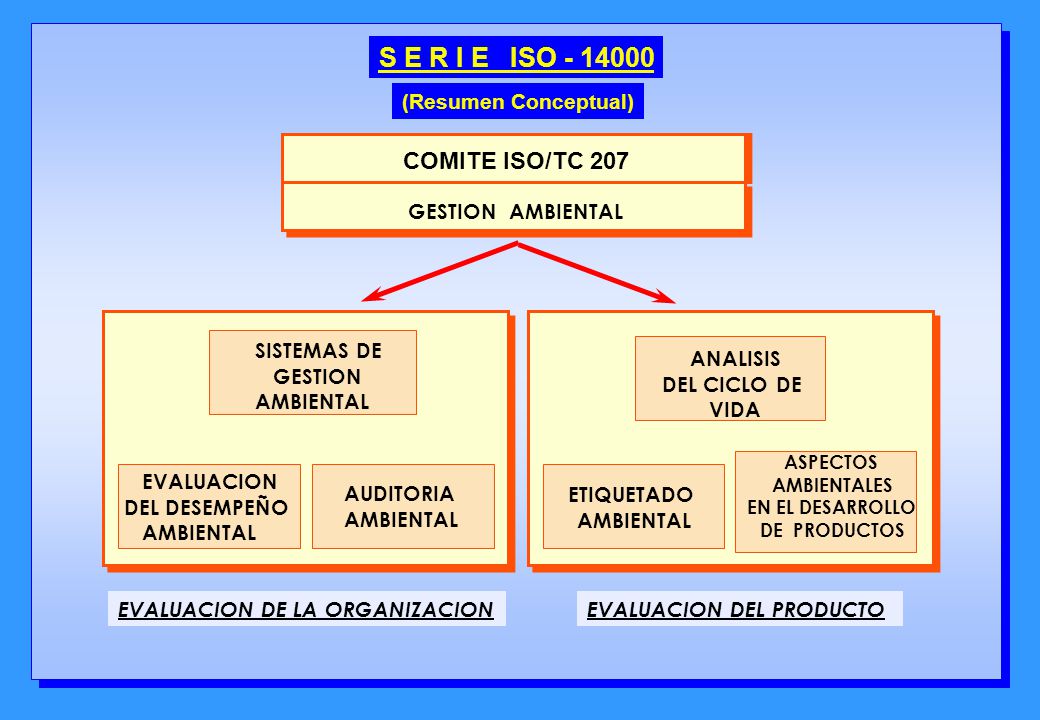 S E R I E ISO COMITE ISO/TC 207 (Resumen Conceptual)