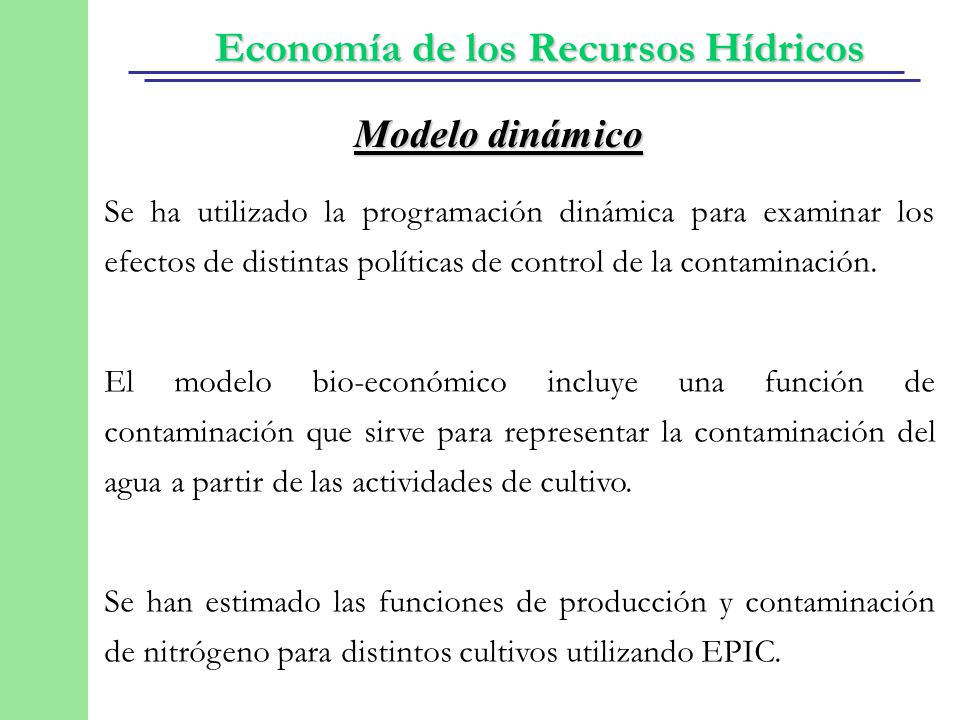 Modelo dinámico Se ha utilizado la programación dinámica para examinar los efectos de distintas políticas de control de la contaminación.