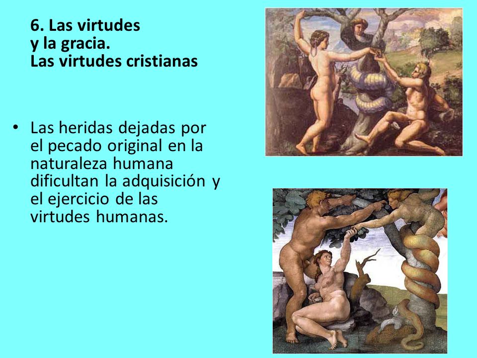 6. Las virtudes y la gracia. Las virtudes cristianas