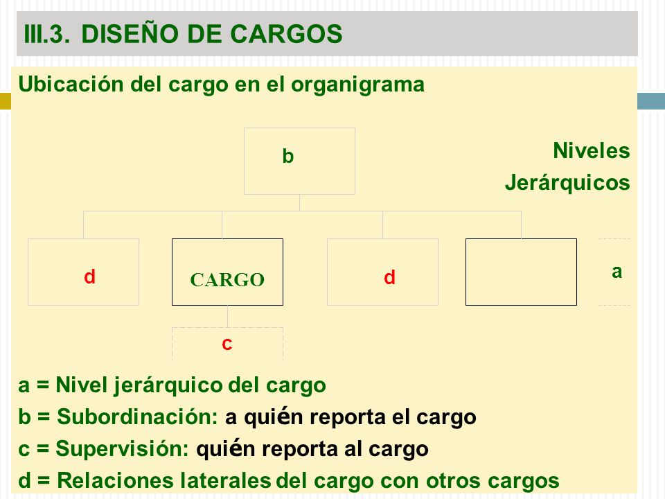 III.3. DISEÑO DE CARGOS Niveles Ubicación del cargo en el organigrama
