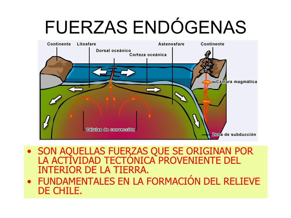 FUERZAS ENDÓGENAS SON AQUELLAS FUERZAS QUE SE ORIGINAN POR LA ACTIVIDAD TECTÓNICA PROVENIENTE DEL INTERIOR DE LA TIERRA.