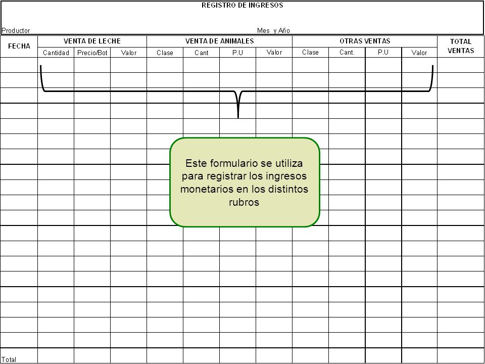 Este formulario se utiliza para registrar los ingresos monetarios en los distintos rubros