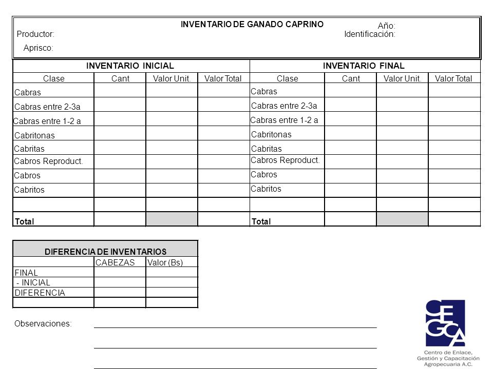 INVENTARIO INICIAL INVENTARIO FINAL Productor: Año: Clase Cant
