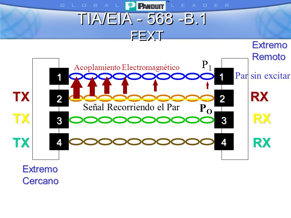 TIA/EIA B.1 FEXT RX TX P1 PO Extremo Remoto Par sin excitar 1 2
