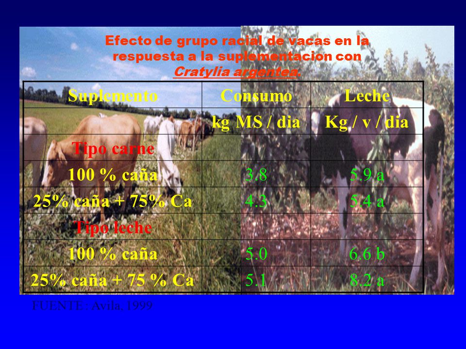 Suplemento Consumo Leche kg MS / dia Kg / v / dia Tipo carne
