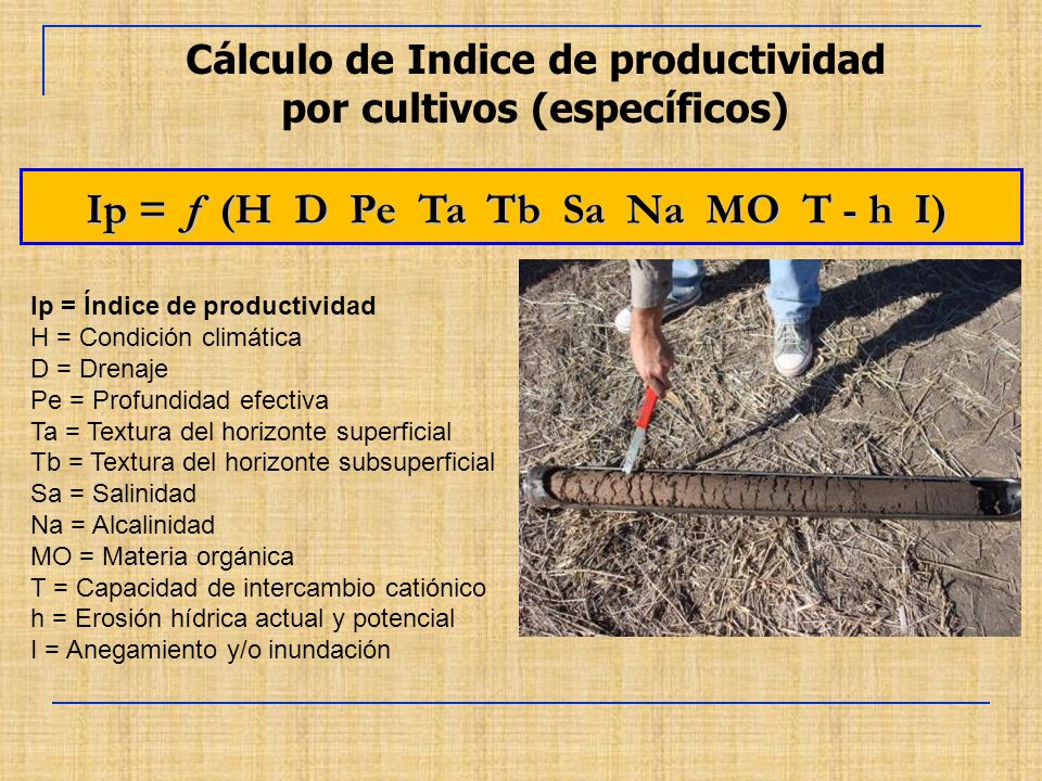 Cálculo de Indice de productividad por cultivos (específicos)