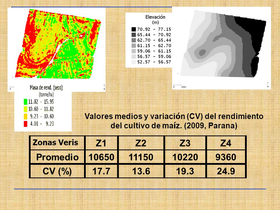 Valores medios y variación (CV) del rendimiento del cultivo de maíz