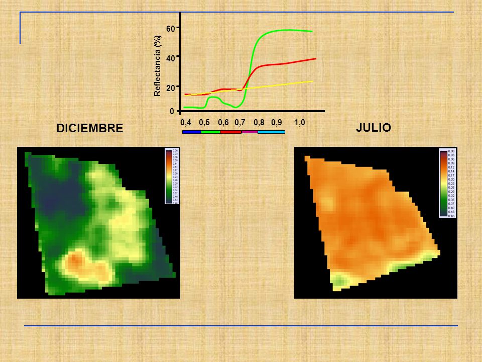 Reflectancia (%) ,4 0,5 0,6 0,7 0,8 0,9 1,0 DICIEMBRE JULIO