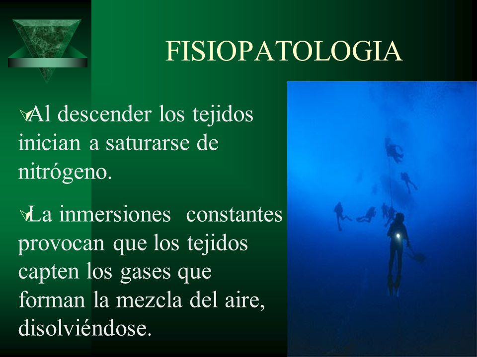 FISIOPATOLOGIA Al descender los tejidos inician a saturarse de nitrógeno.