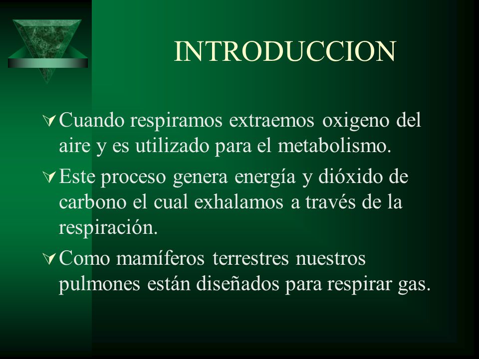 INTRODUCCION Cuando respiramos extraemos oxigeno del aire y es utilizado para el metabolismo.
