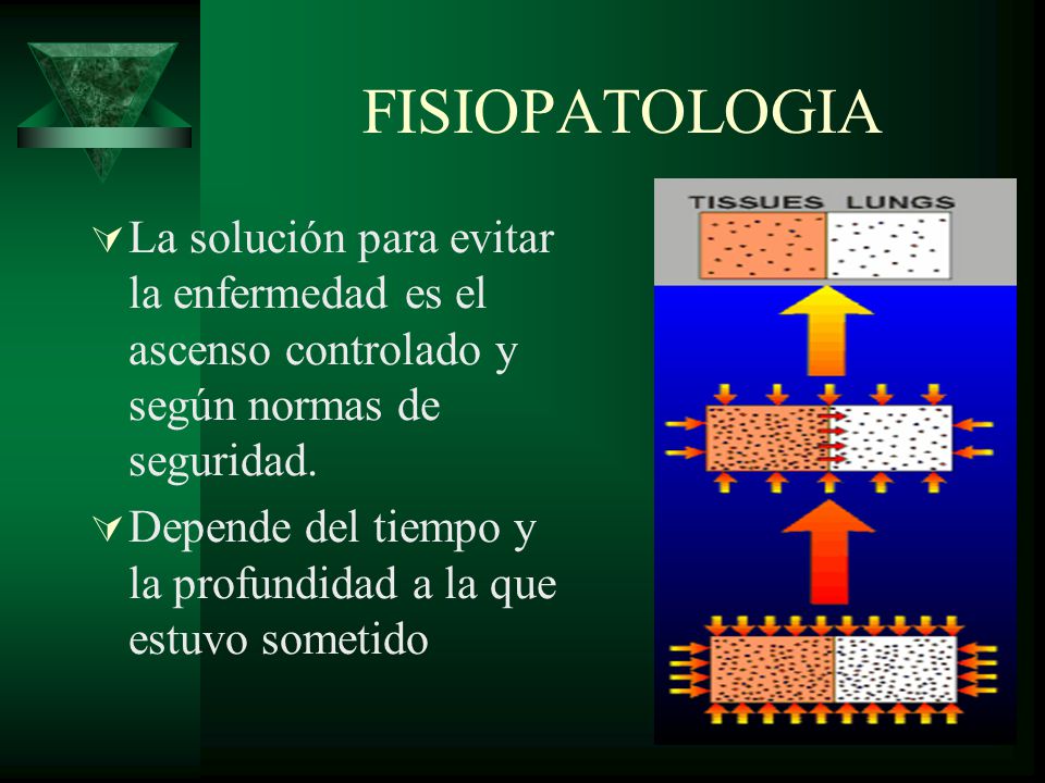 FISIOPATOLOGIA La solución para evitar la enfermedad es el ascenso controlado y según normas de seguridad.