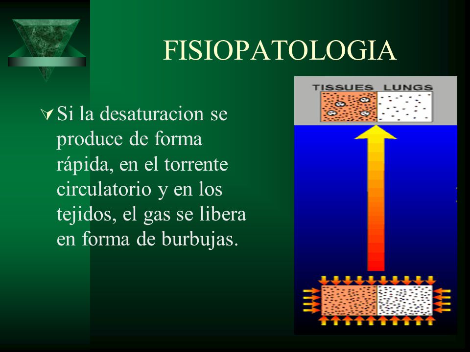 FISIOPATOLOGIA Si la desaturacion se produce de forma rápida, en el torrente circulatorio y en los tejidos, el gas se libera en forma de burbujas.