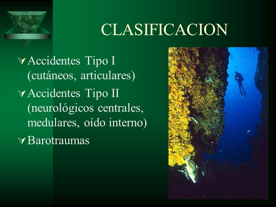 CLASIFICACION Accidentes Tipo I (cutáneos, articulares)