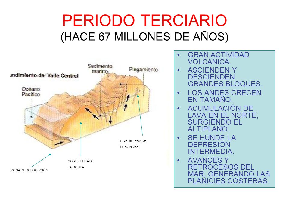 PERIODO TERCIARIO (HACE 67 MILLONES DE AÑOS)