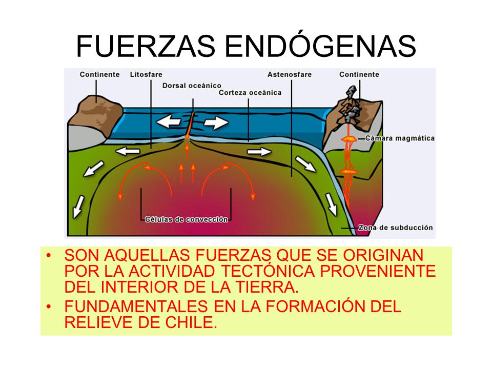 FUERZAS ENDÓGENAS SON AQUELLAS FUERZAS QUE SE ORIGINAN POR LA ACTIVIDAD TECTÓNICA PROVENIENTE DEL INTERIOR DE LA TIERRA.