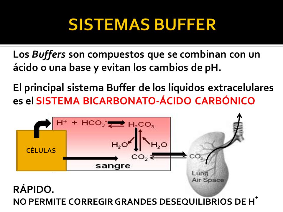 SISTEMAS BUFFER Los Buffers son compuestos que se combinan con un ácido o una base y evitan los cambios de pH.