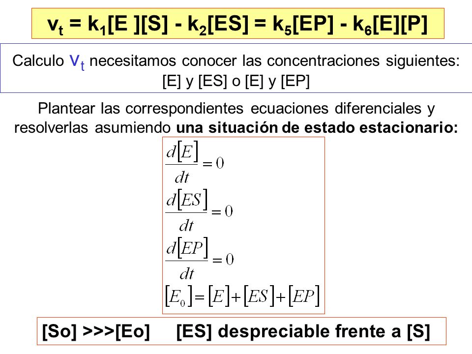 vt = k1[E ][S] - k2[ES] = k5[EP] - k6[E][P]