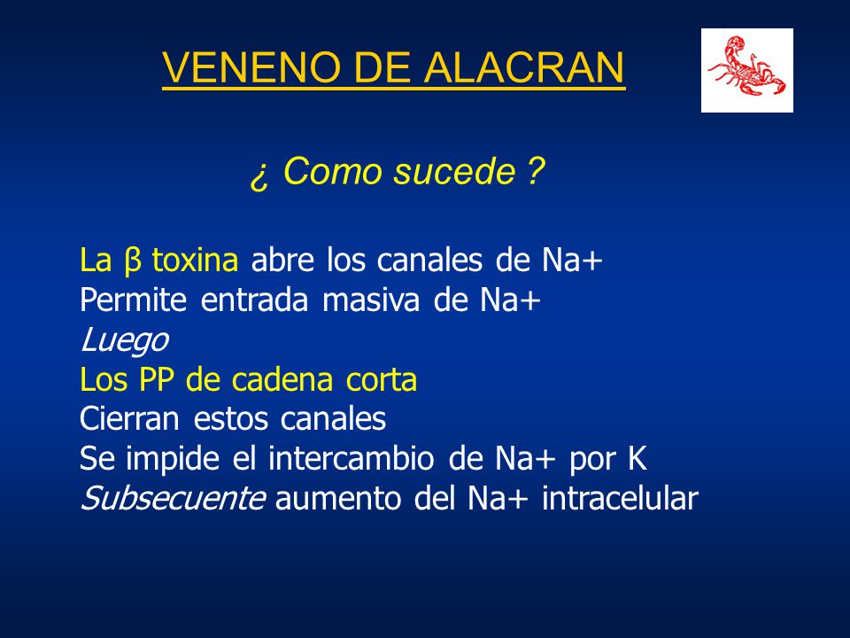 VENENO DE ALACRAN ¿ Como sucede La β toxina abre los canales de Na+