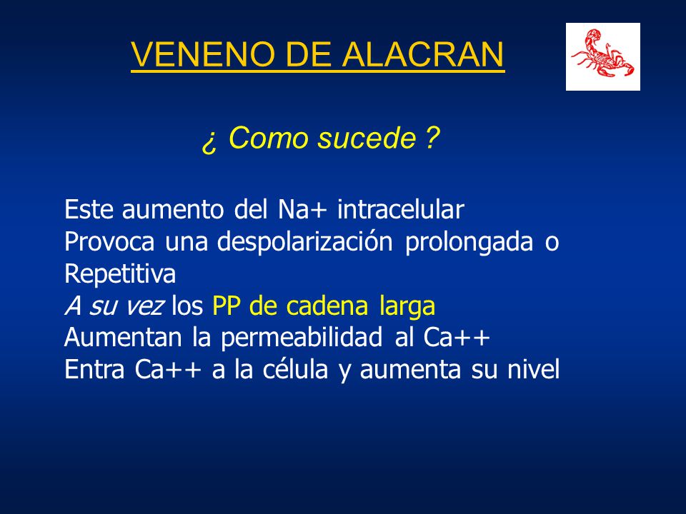 VENENO DE ALACRAN ¿ Como sucede Este aumento del Na+ intracelular