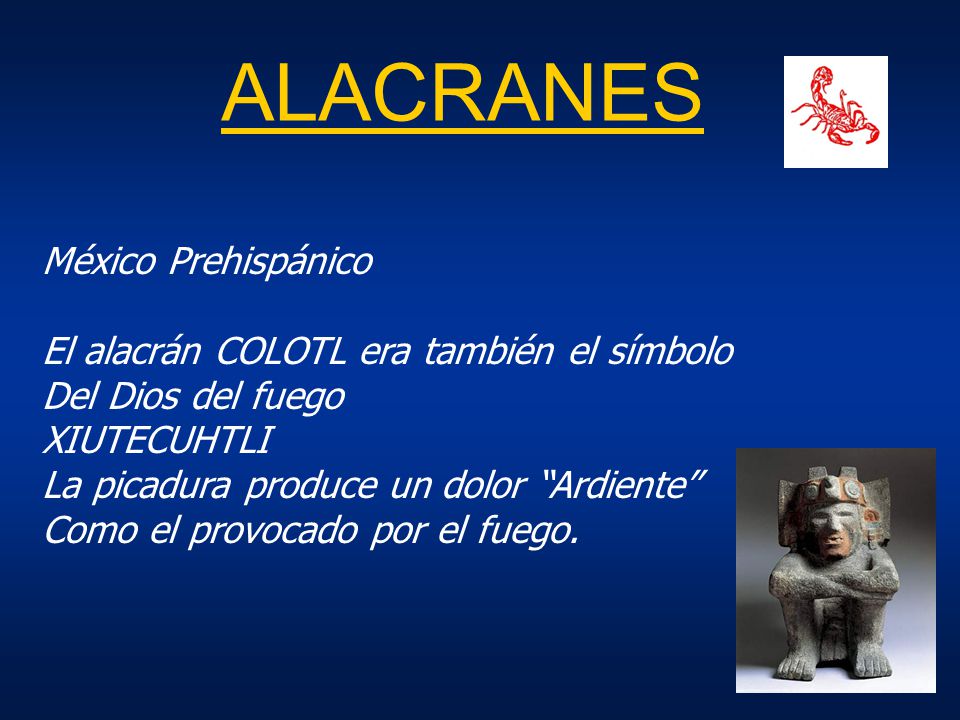 ALACRANES México Prehispánico El alacrán COLOTL era también el símbolo