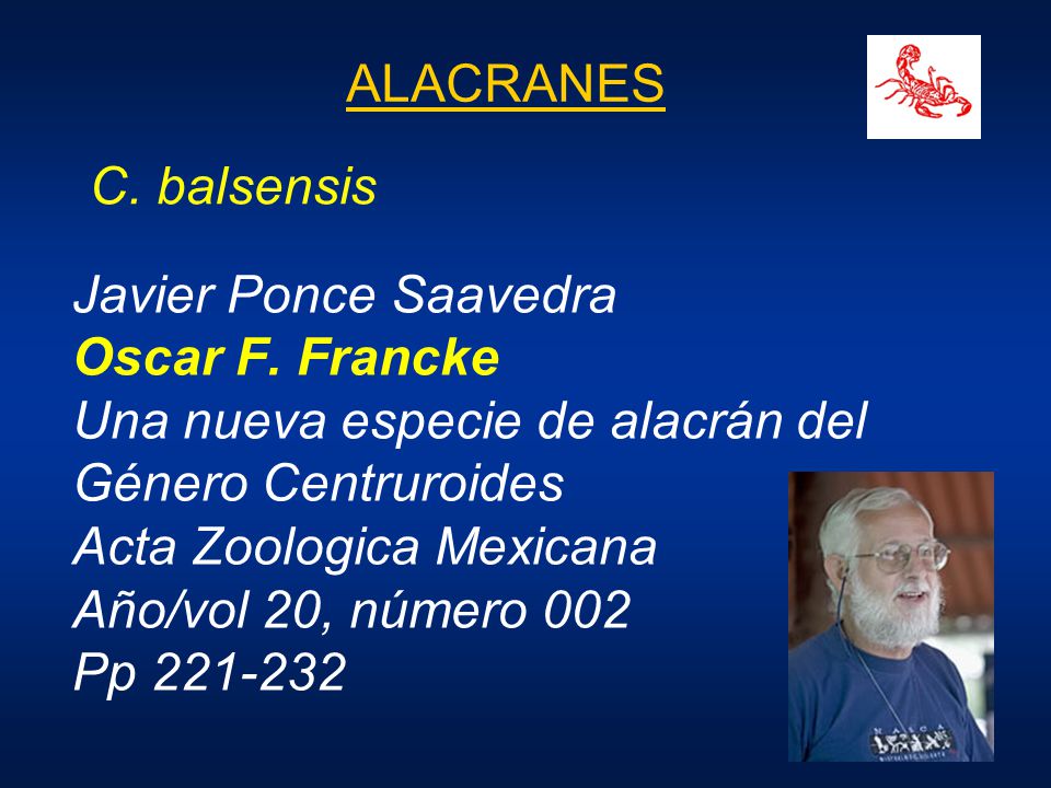 ALACRANES C. balsensis. Javier Ponce Saavedra. Oscar F. Francke. Una nueva especie de alacrán del Género Centruroides.
