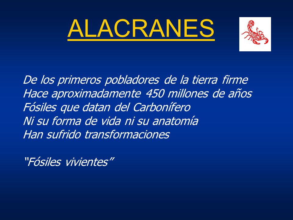 ALACRANES De los primeros pobladores de la tierra firme